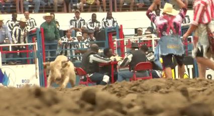 Bulls, Flips And Pyr-Sean